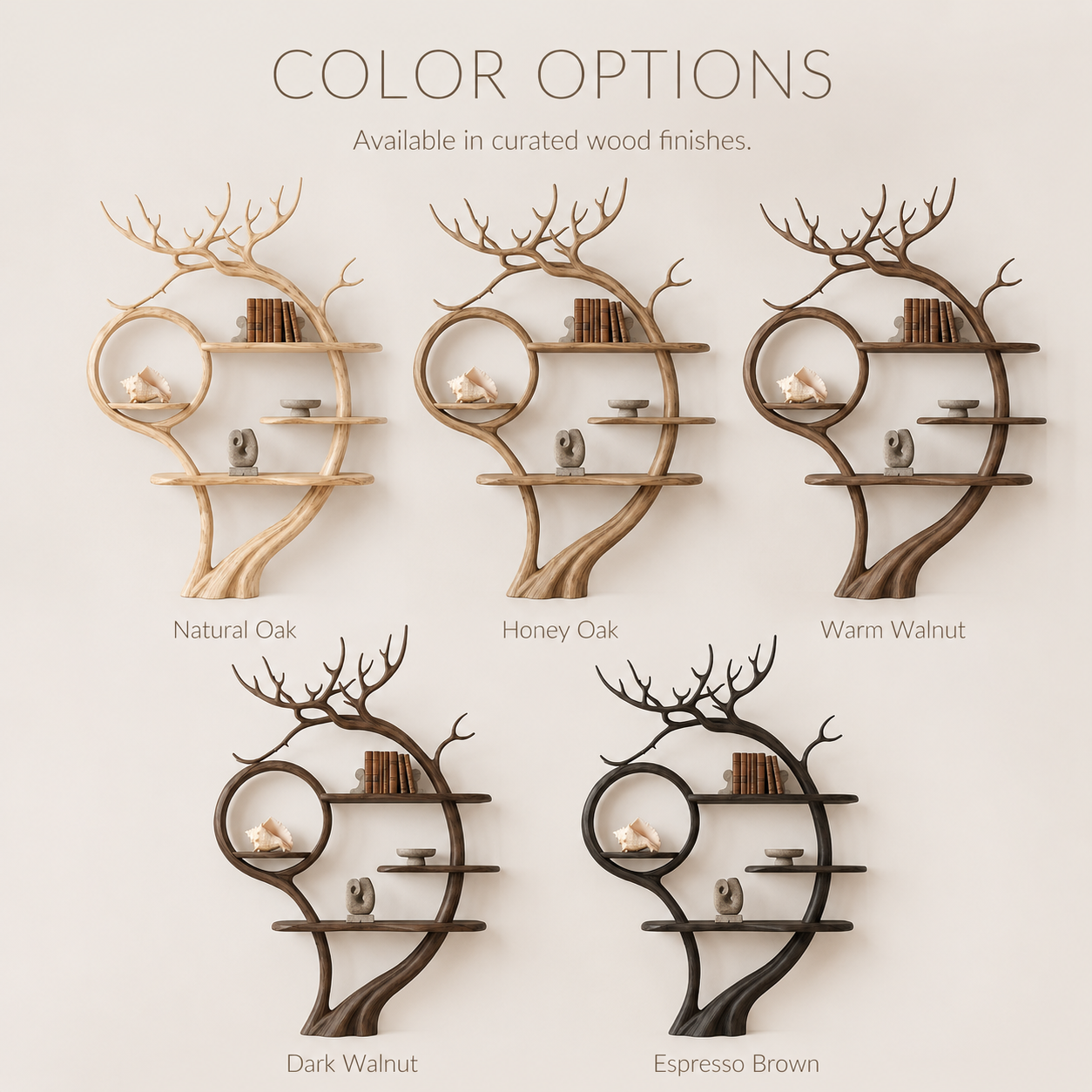 Eloise Rounded Statement Bookshelf - Color Options