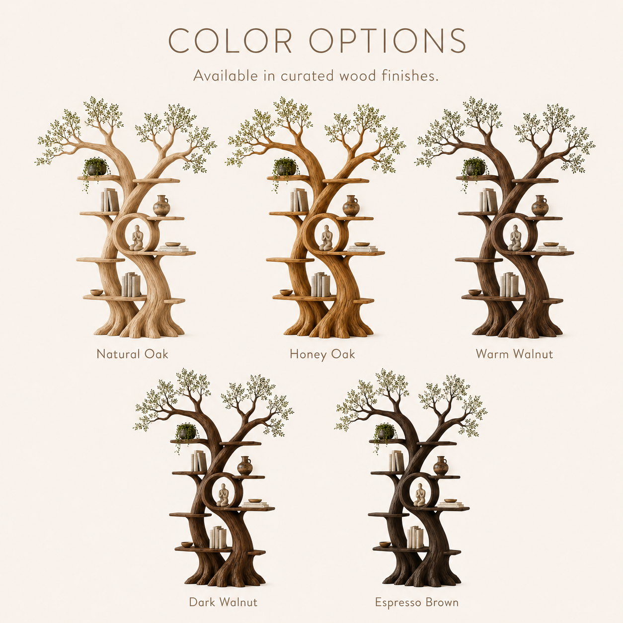Camille Organic Display Bookshelf - Color Options