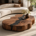 Orin Organic Modern Coffee Table - main view