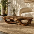 Soren Hollow Form Coffee Table - Design 255 - main view