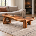 Solene Sculptural Solid Wood Coffee Table - Design 360 - main view