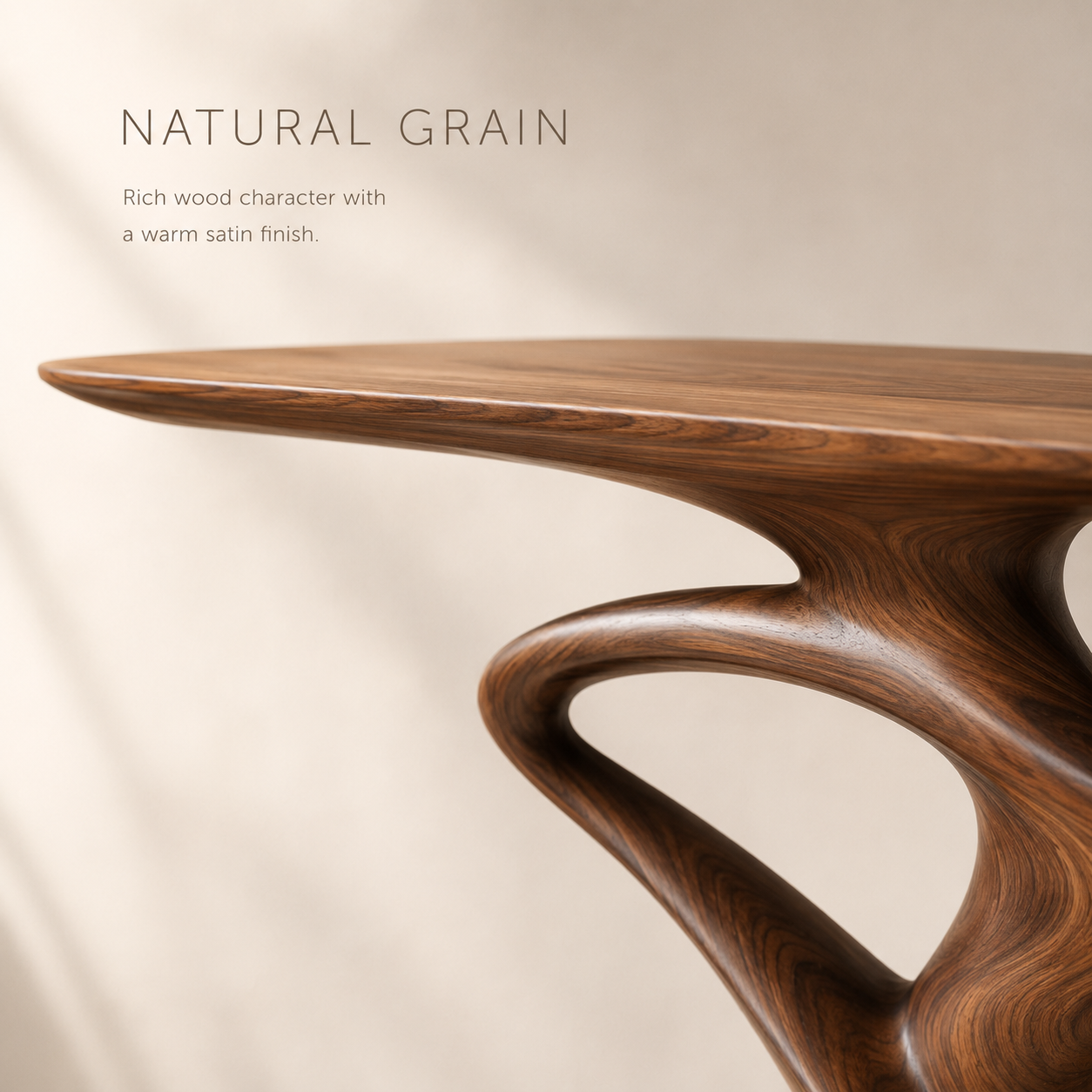 Isla Gallery Rail Console Table - Design 320 - product image 05