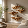 Mira Organic Display Shelf - Design 060 - main view