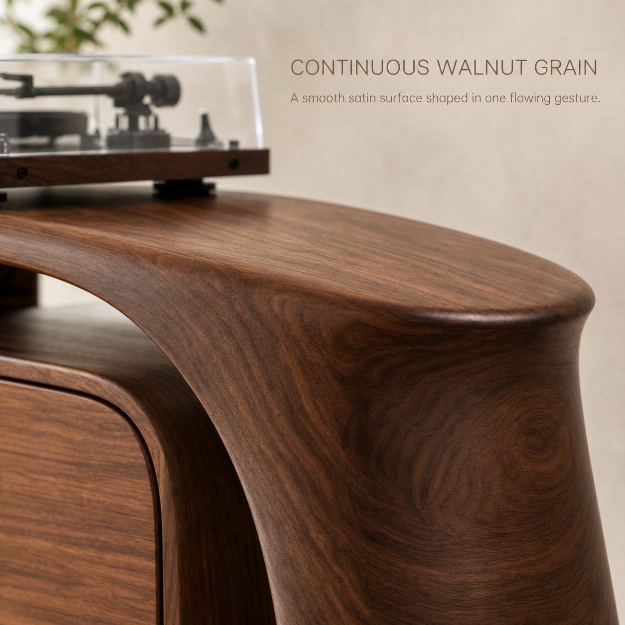 Liora Warm Walnut Vinyl Stand - Design 004 - product image 04