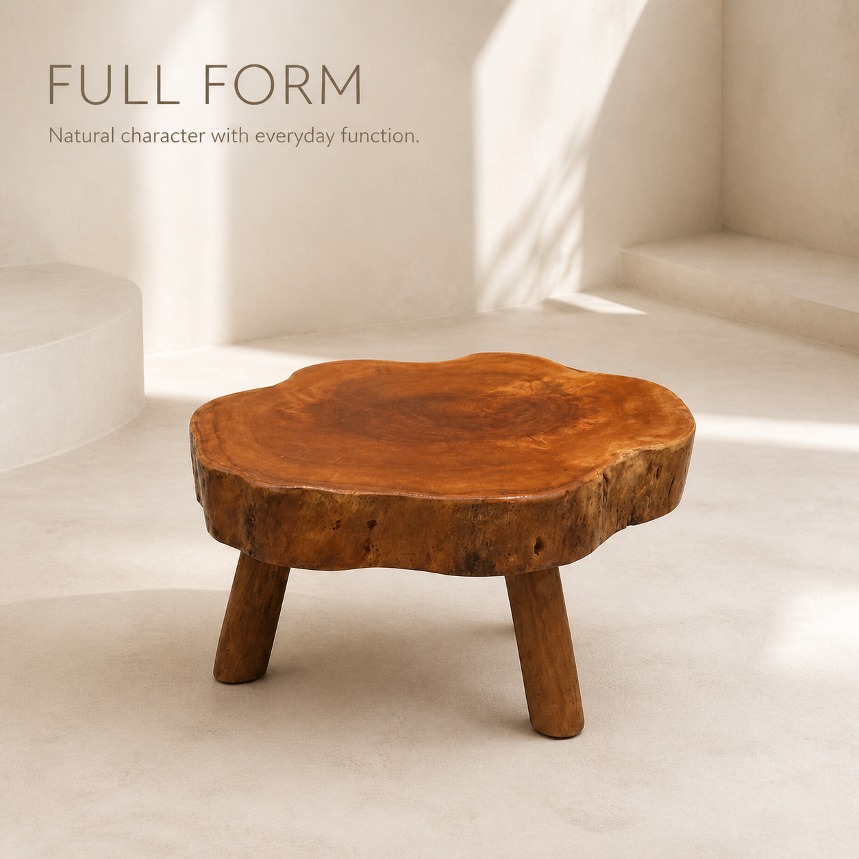 Arden Round Live Edge Wood Side Table - main view