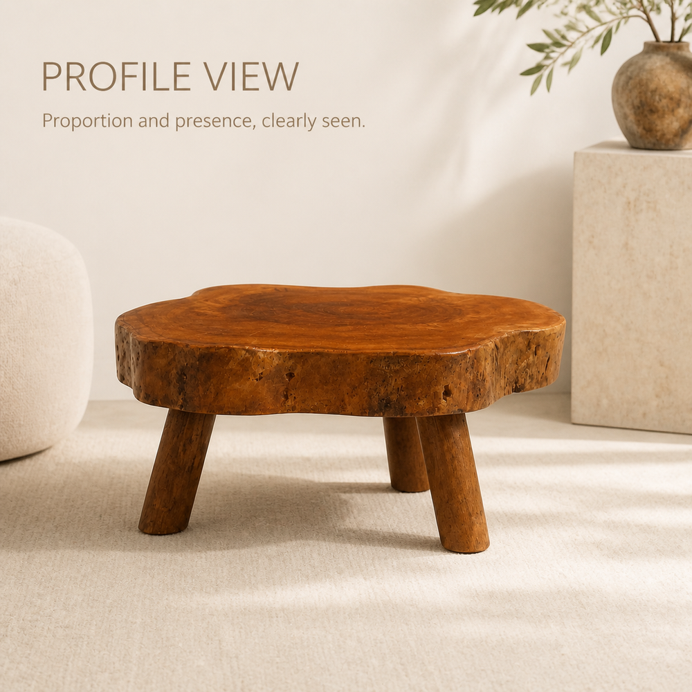 Arden Round Live Edge Wood Side Table - product image 03