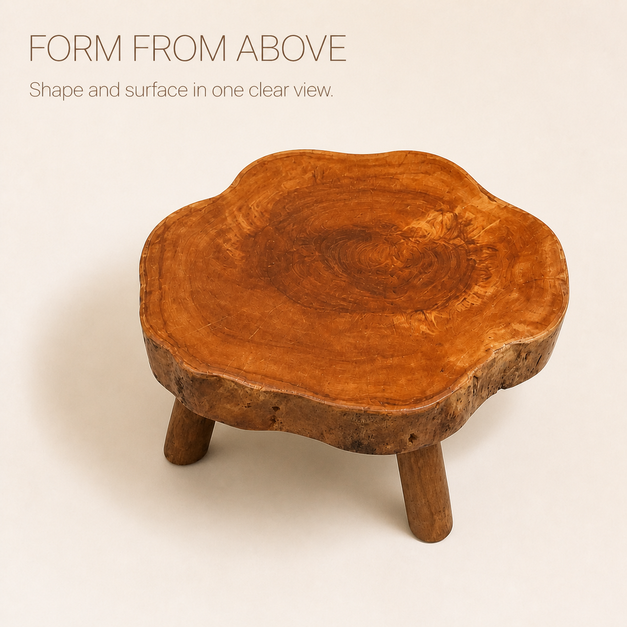 Arden Round Live Edge Wood Side Table - product image 04