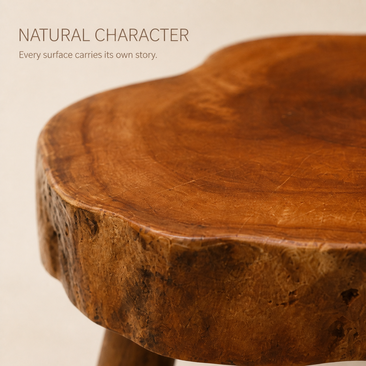 Arden Round Live Edge Wood Side Table - product image 05