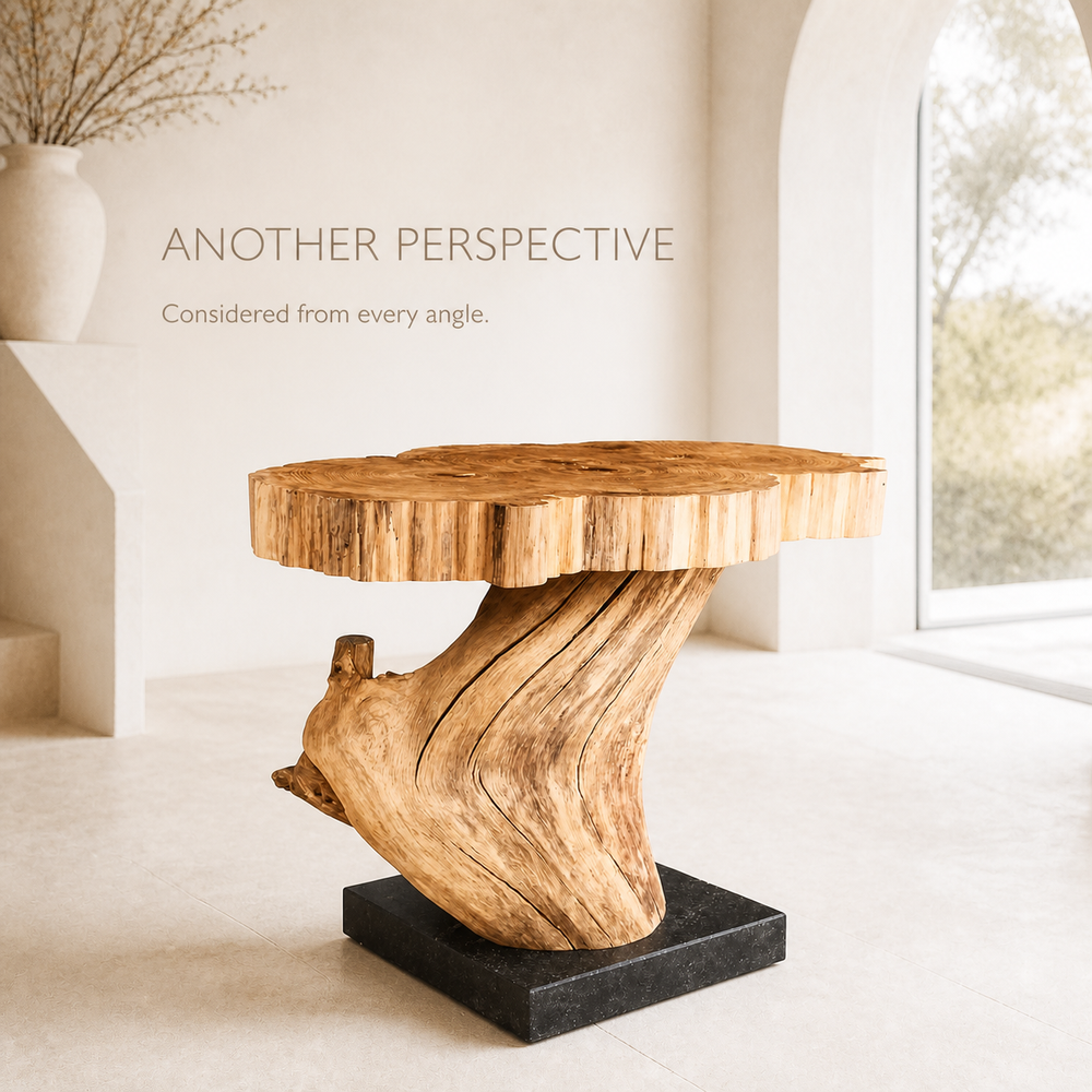 Calder Root Base Live Edge Side Table - product image 03