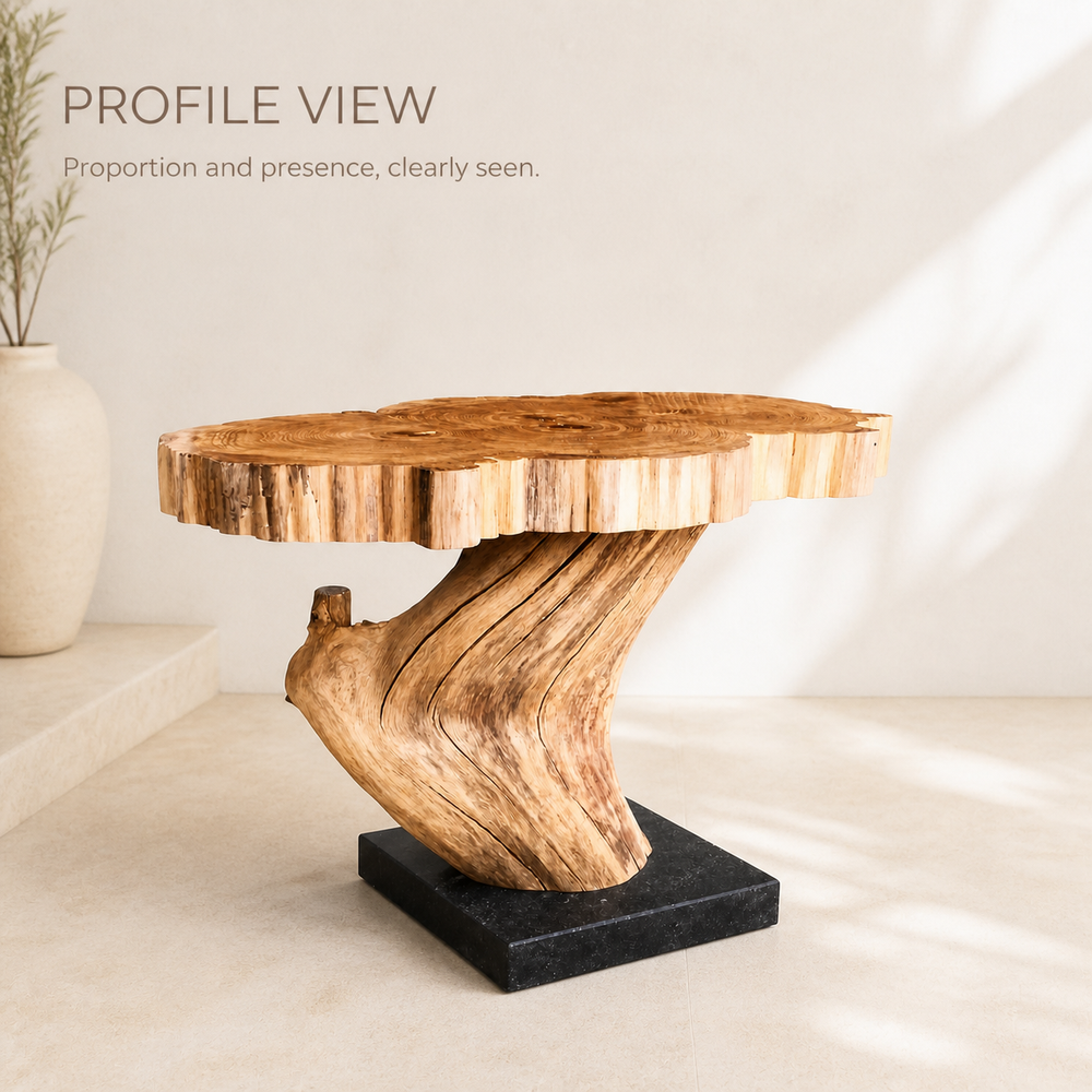 Calder Root Base Live Edge Side Table - product image 04