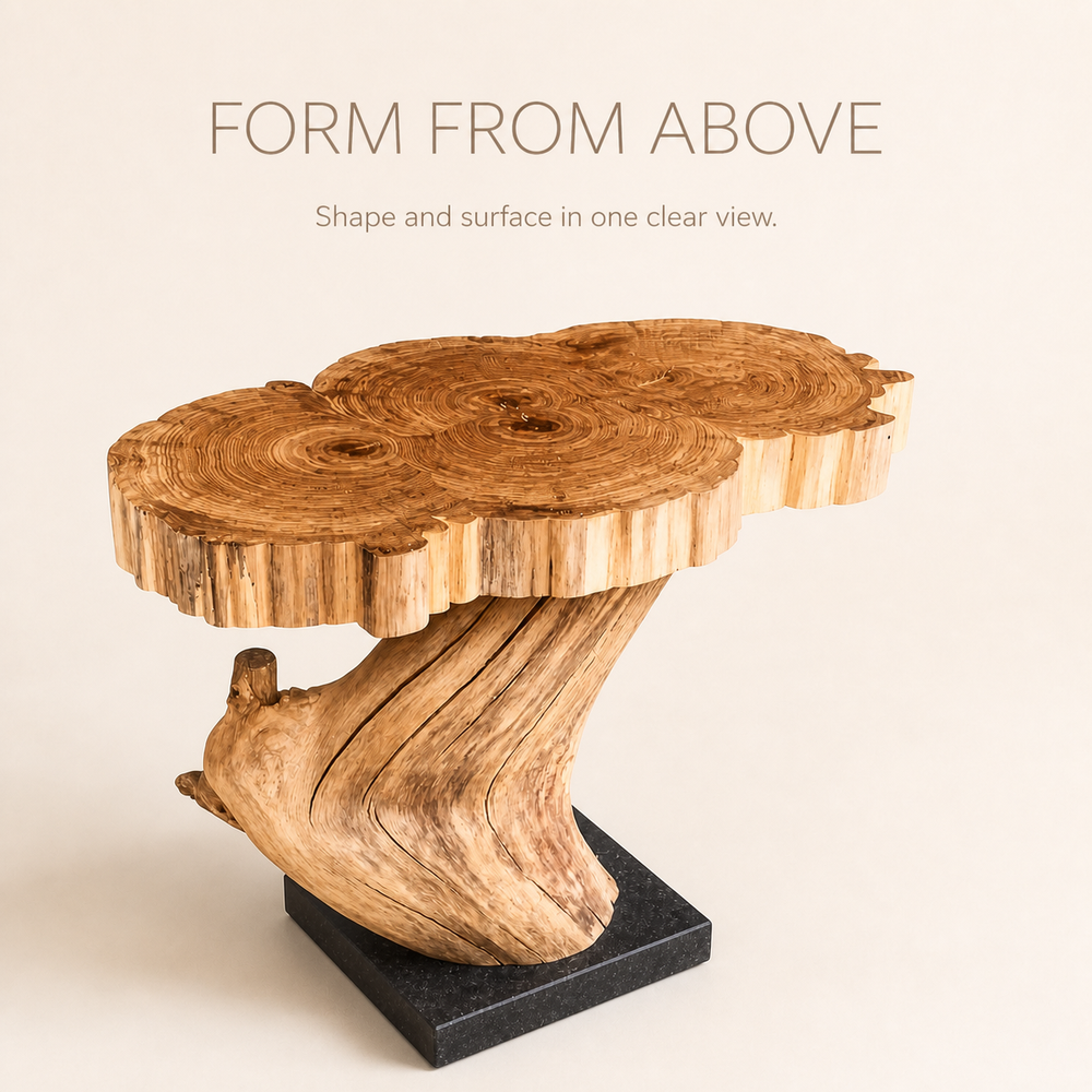 Calder Root Base Live Edge Side Table - product image 05