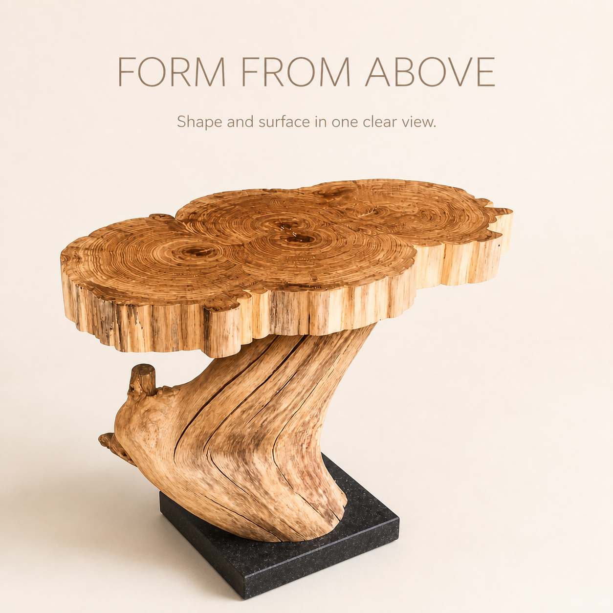 Calder Root Base Live Edge Side Table - product image 05