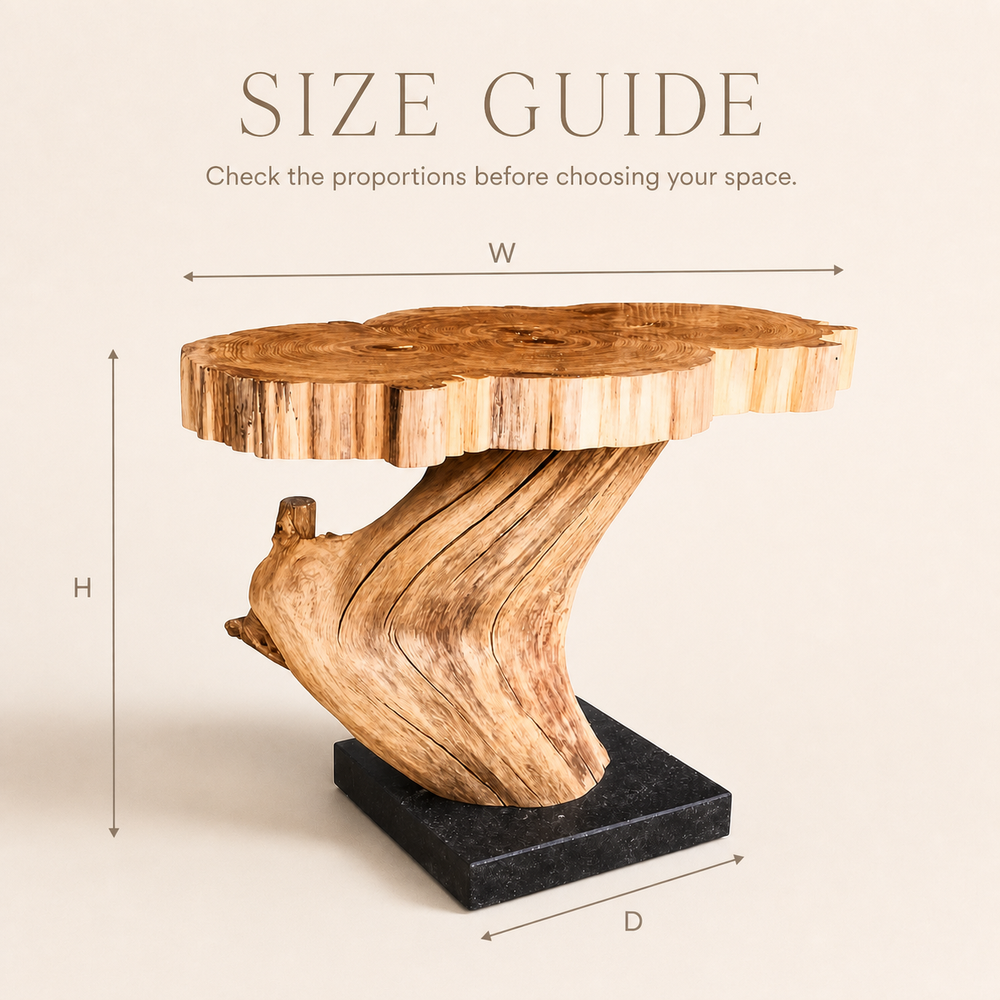 Calder Root Base Live Edge Side Table - product image 09