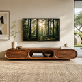 Neria Sculptural Solid Wood TV Stand - Design 041 - premium solid wood TV stand main lifestyle view